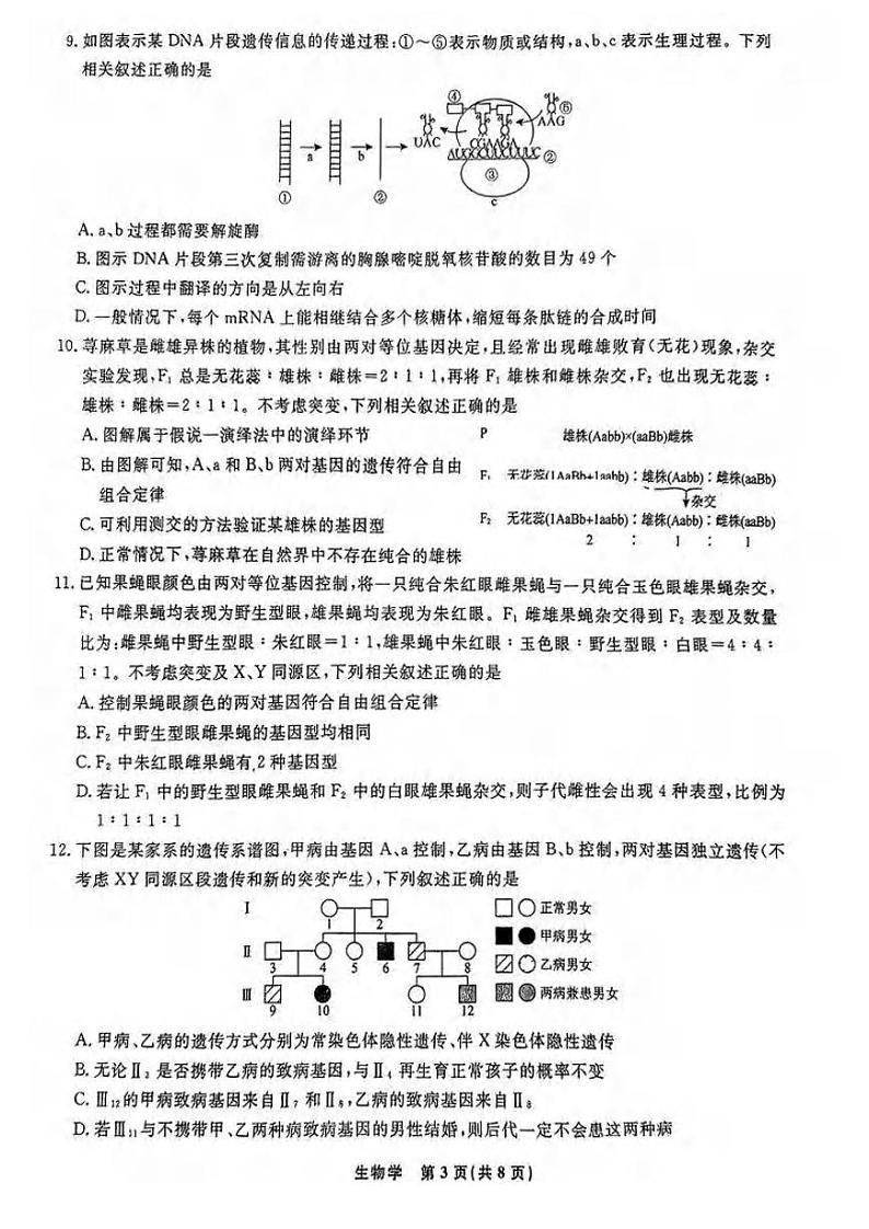 生物丨辽宁省名校联盟2025届高三10月联合考试生物试卷及答案第3页