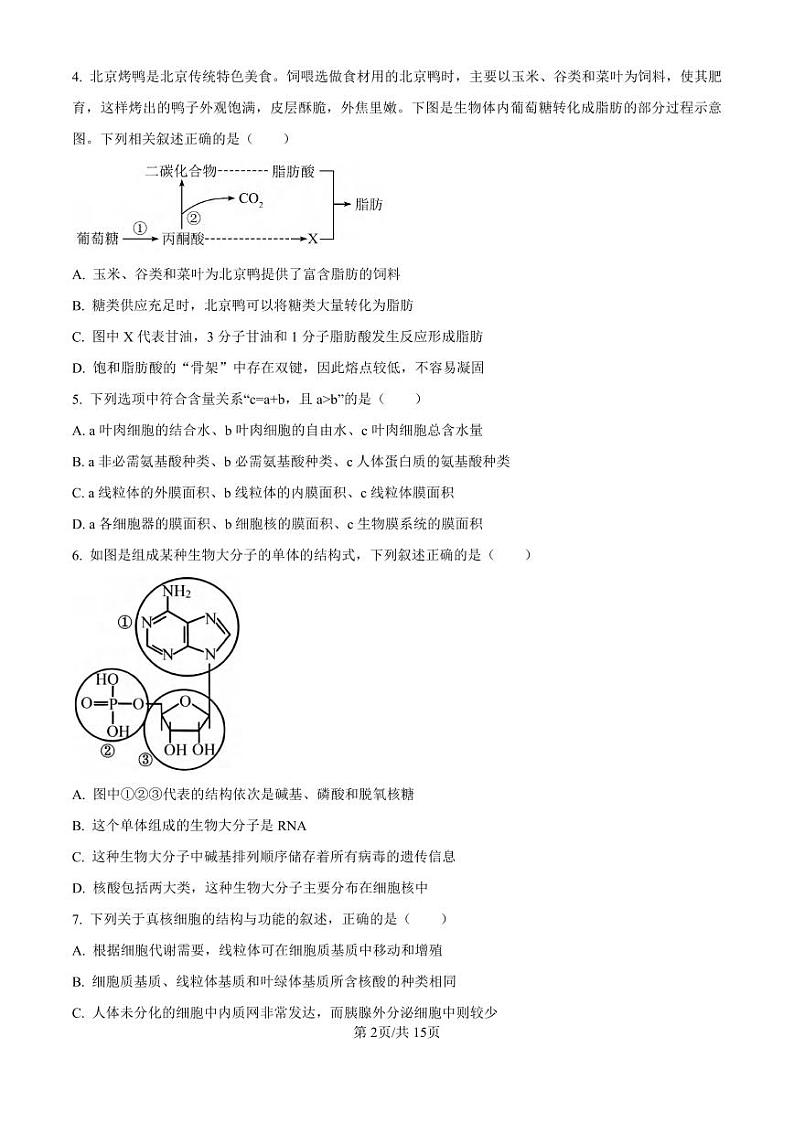 生物丨陕西省西安中学高2025届高三10月第一次质量检测考试生物试卷及答案第2页