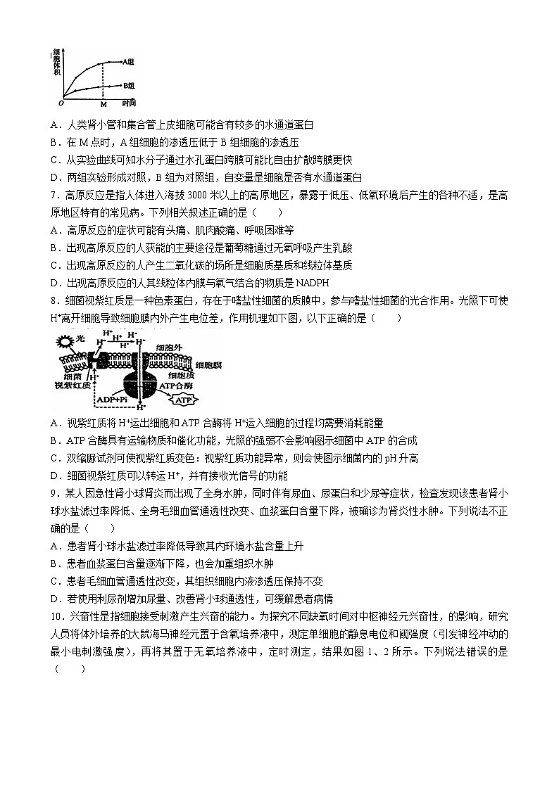 陕西省西安市碑林区西北工业大学附属中学2024-2025学年高二上学期月考生物试题02