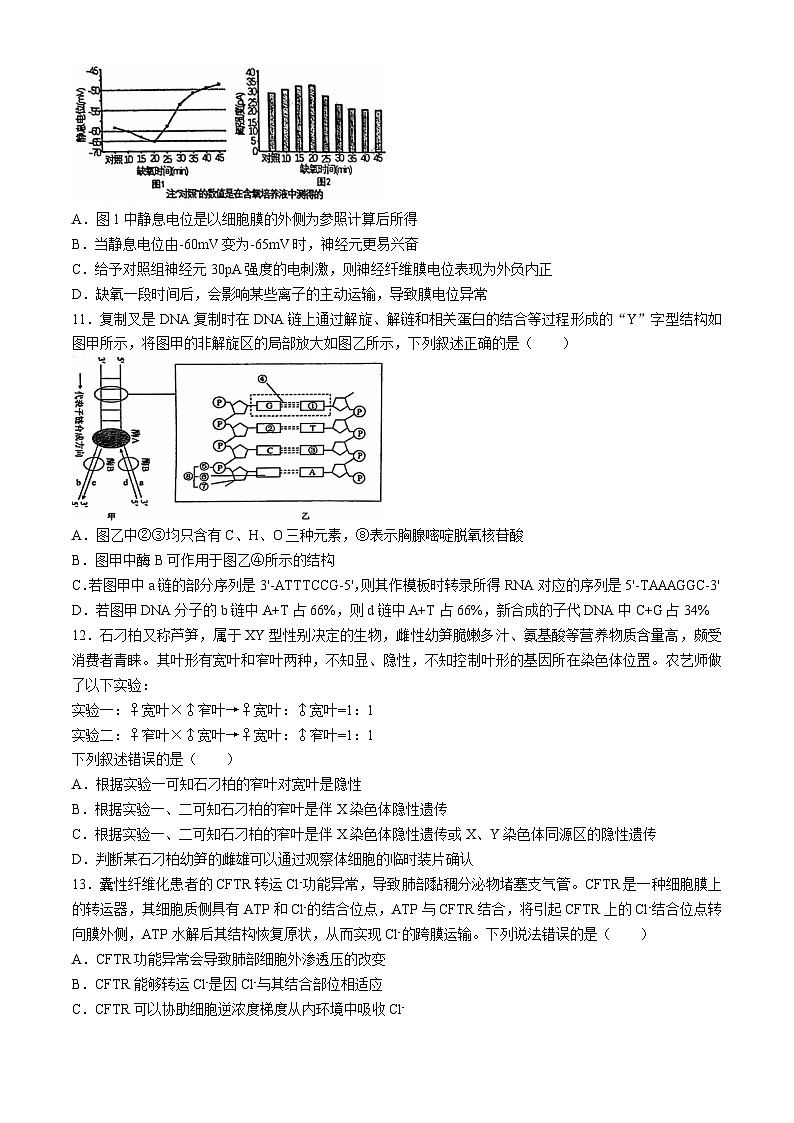 陕西省西安市碑林区西北工业大学附属中学2024-2025学年高二上学期月考生物试题03