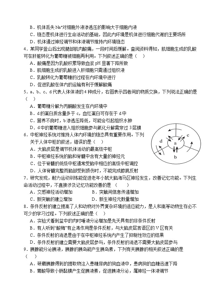 广东省广州市第八十九中学2024-2025学年高二上学期10月月考生物试题02