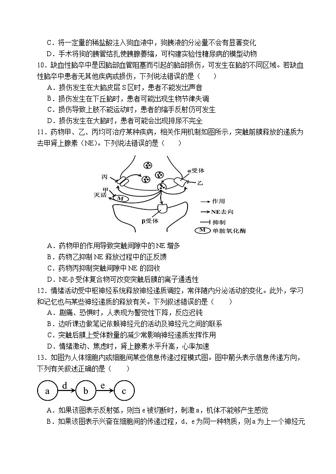 广东省广州市第八十九中学2024-2025学年高二上学期10月月考生物试题03