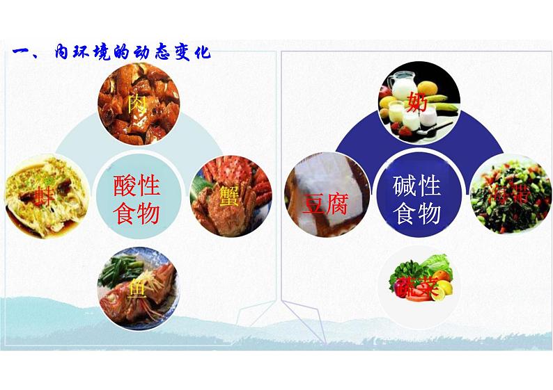 1.2 内环境的稳态(教学课件)-高中生物人教版(2019)选择性必修一第3页