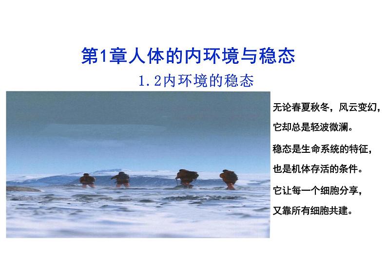 1.2 内环境的稳态(教学课件)-高中生物人教版(2019)选择性必修1第1页