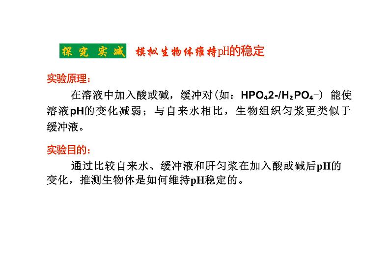 1.2 内环境的稳态(教学课件)-高中生物人教版(2019)选择性必修1第5页
