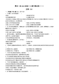 河南省商丘市夏邑县第一高级中学2024-2025学年高二上学期10月月考生物试题