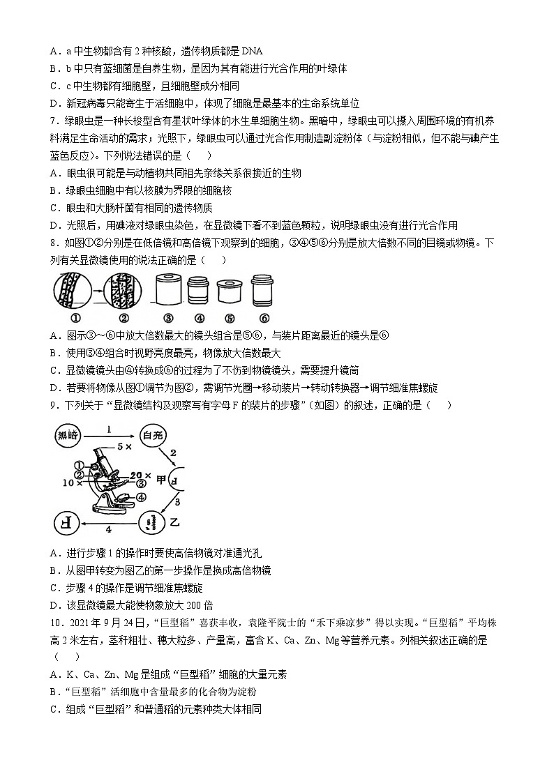 河北省唐山市第二中学2024-2025学年高一上学期10月第一次月考生物试卷(无答案)第2页
