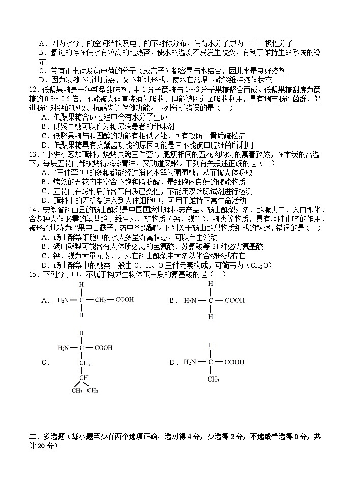 江西省南昌市第二中学2024-2025学年高一上学期第一次月考生物试题03