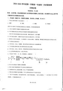 江苏省连云港市赣榆第一中学2024-2025学年高一上学期10月第一次质量检测生物试题