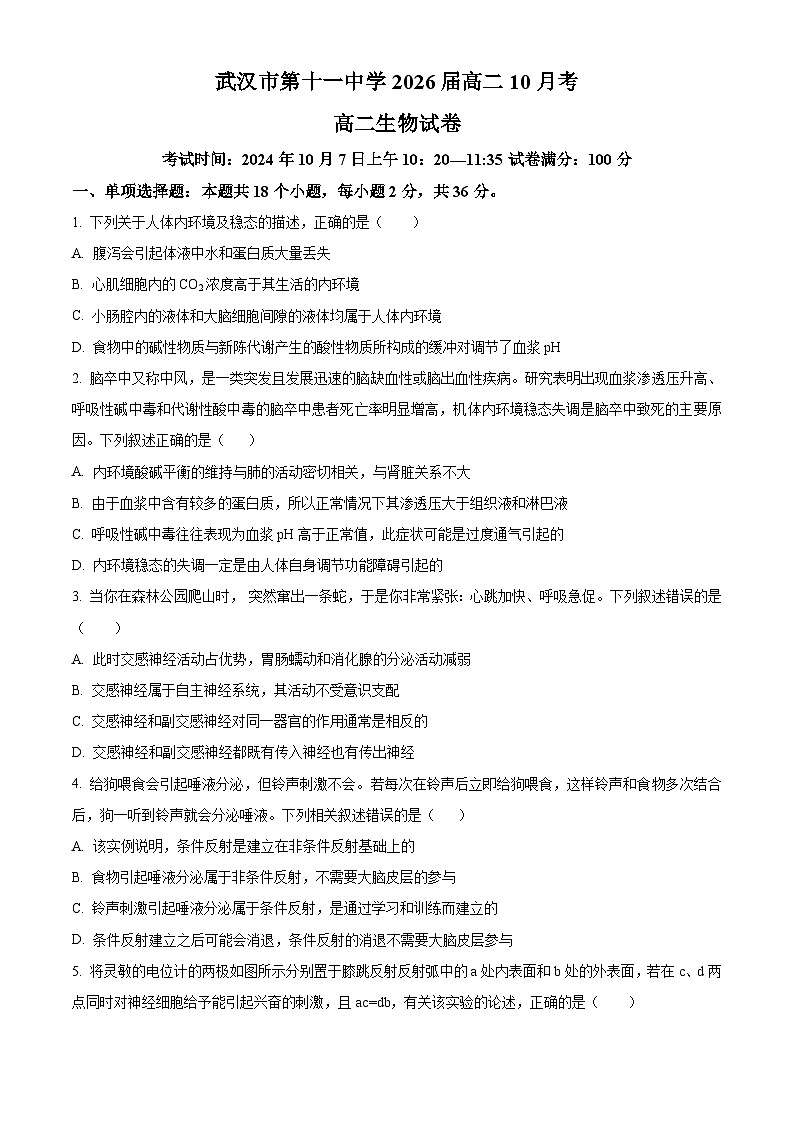 湖北省武汉市第十一中学2024-2025学年高二上学期10月月考生物试题(Word版附解析)01