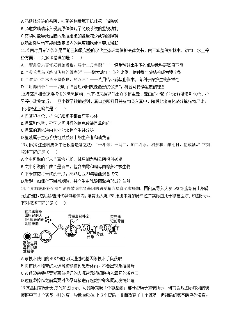 湖北省云学部分重点高中联盟2024-2025学年高二上学期10月联考生物试题(Word版附答案)03