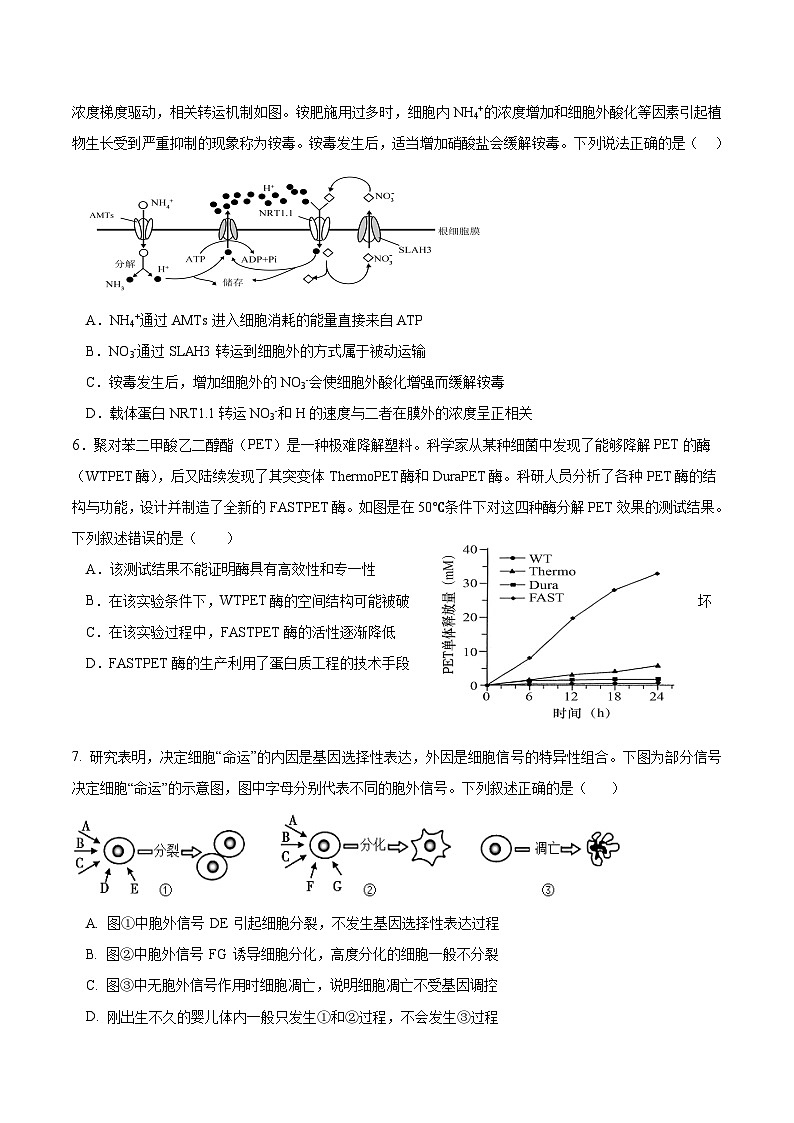 四川省成都市列五中学2024-2025学年高三上学期9月月考生物试题(Word版附答案)02