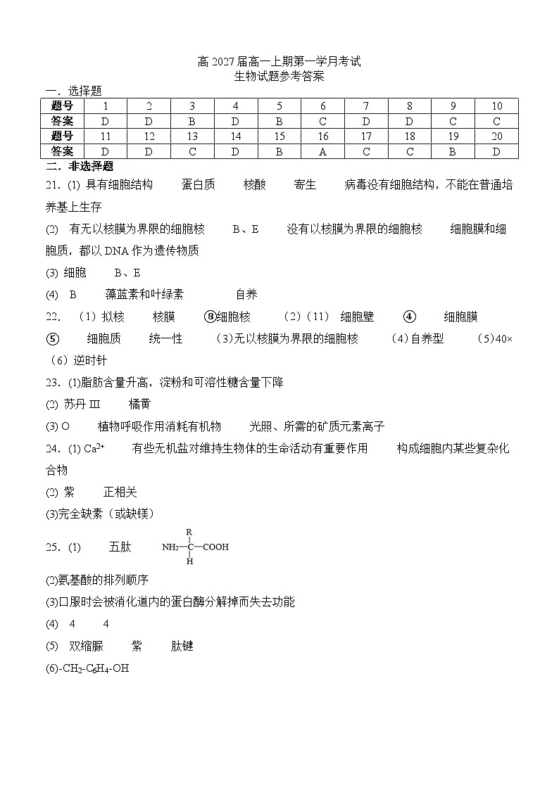 四川省泸州市泸县第五中学2024-2025学年高一上学期10月月考生物试题(Word版附答案)01