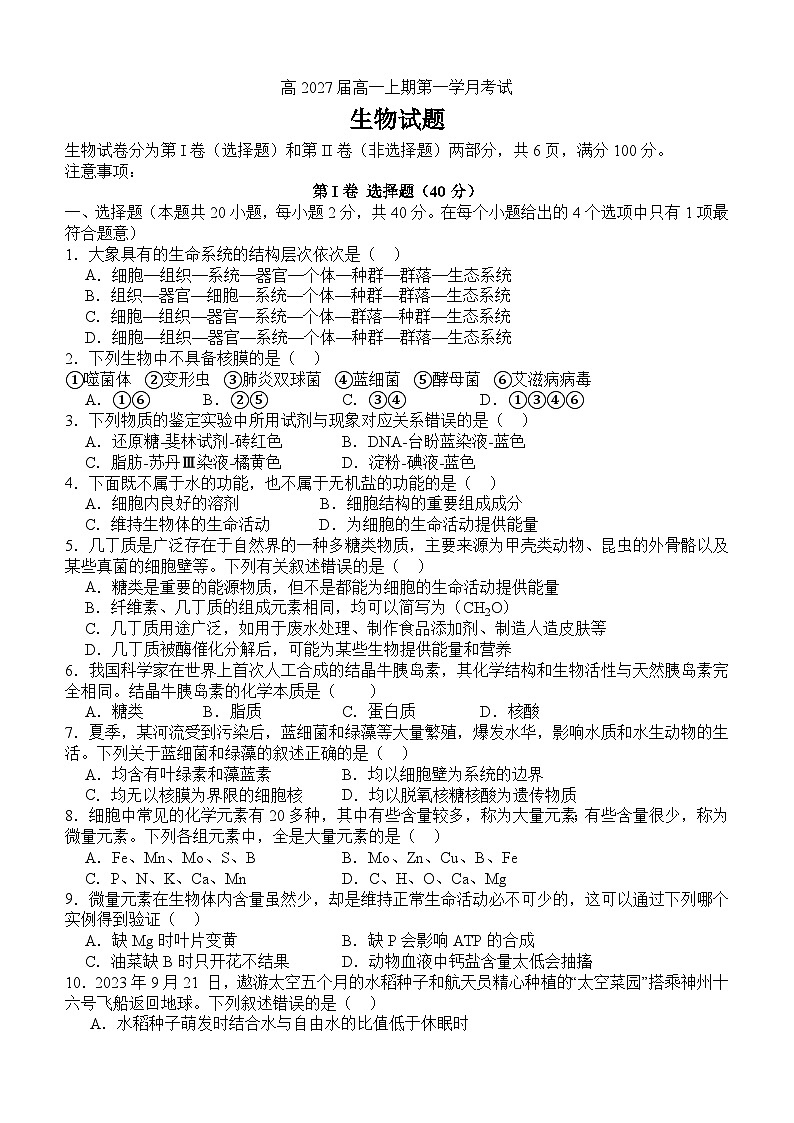 四川省泸州市泸县第五中学2024-2025学年高一上学期10月月考生物试题(Word版附答案)01