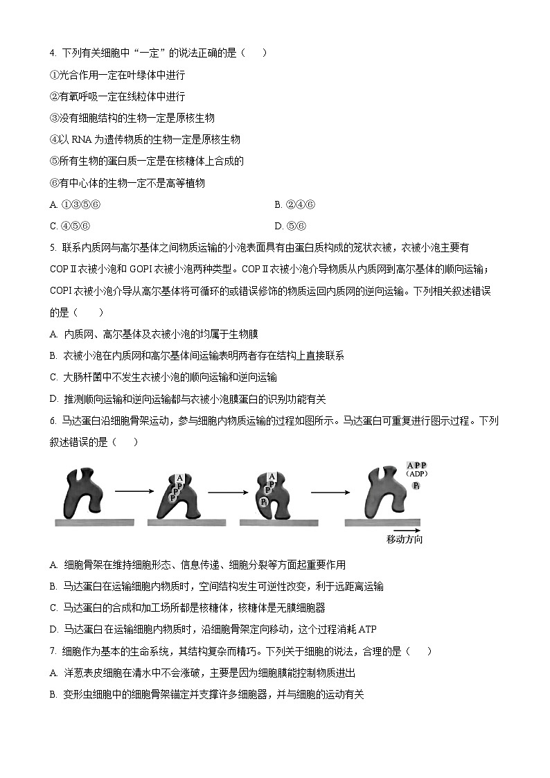 四川省遂宁市射洪中学2025届高三上学期一模生物试题(Word版附解析)02