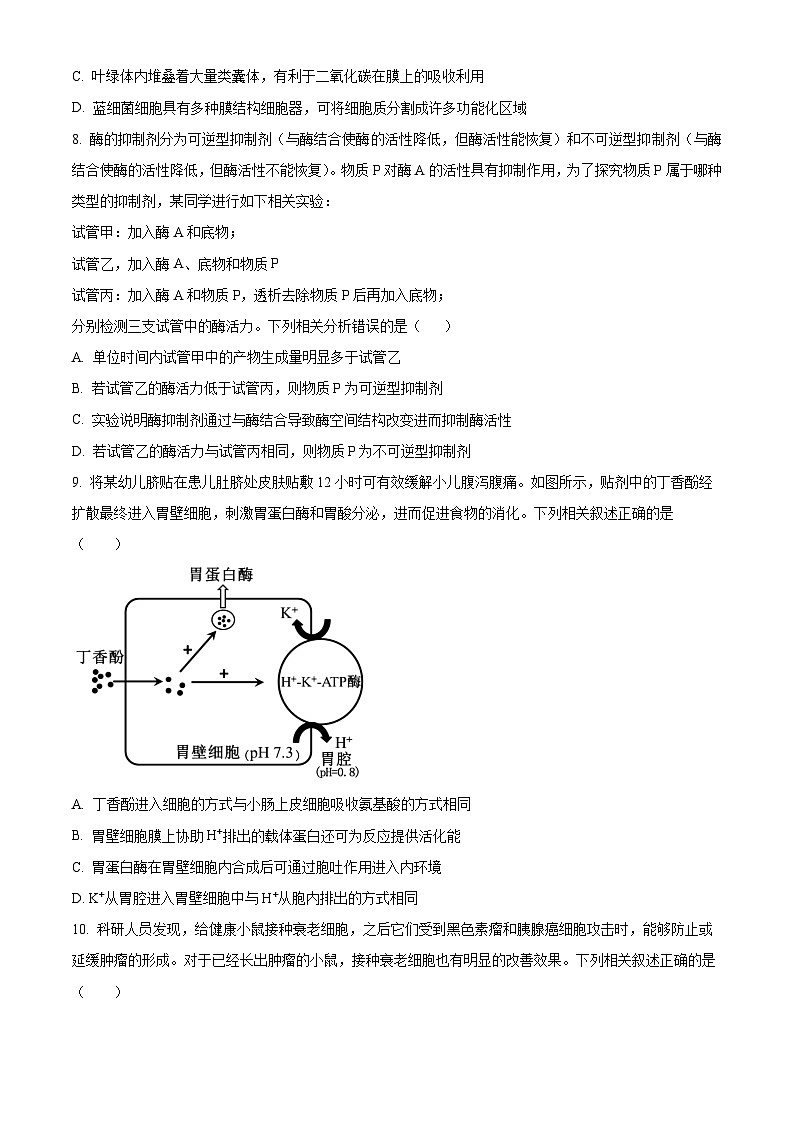 四川省遂宁市射洪中学2025届高三上学期一模生物试题(Word版附解析)03