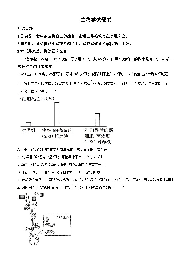 重庆市第一中学2024-2025学年高三上学期9月月考生物试题 Word版无答案第1页