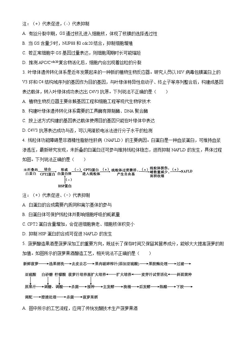 重庆市第一中学2024-2025学年高三上学期9月月考生物试题 Word版无答案第2页
