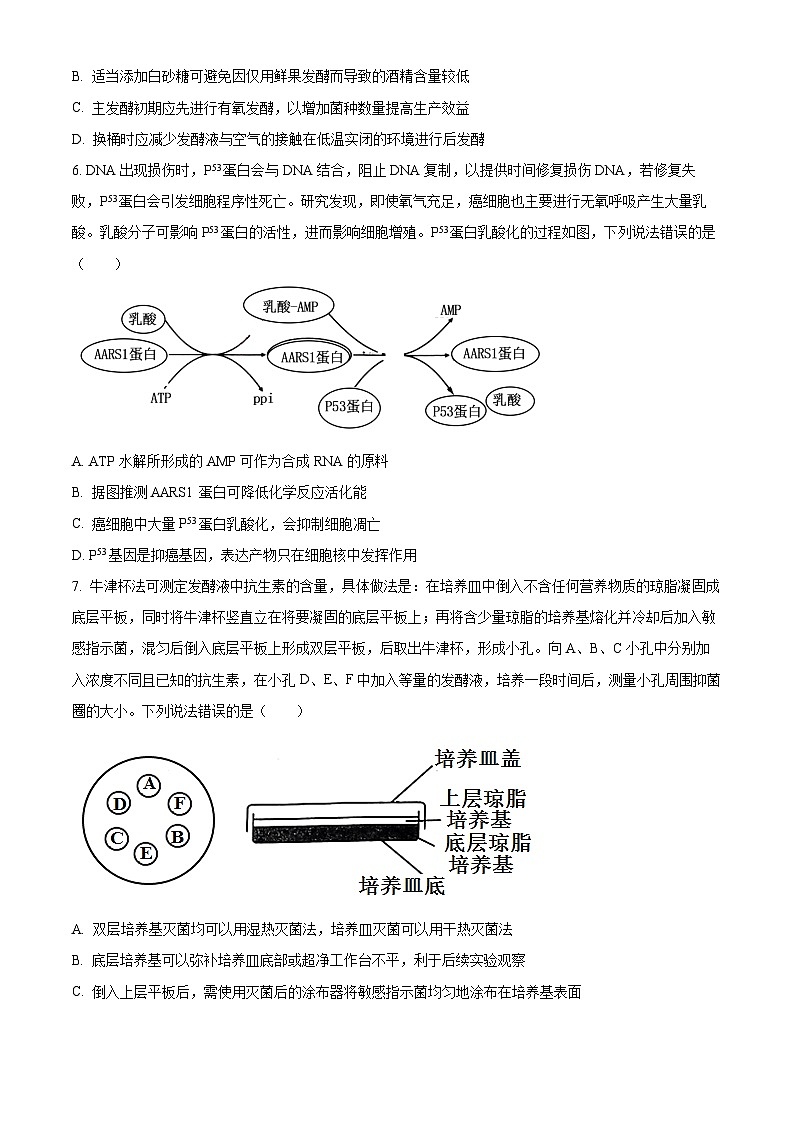 重庆市第一中学2024-2025学年高三上学期9月月考生物试题 Word版无答案第3页