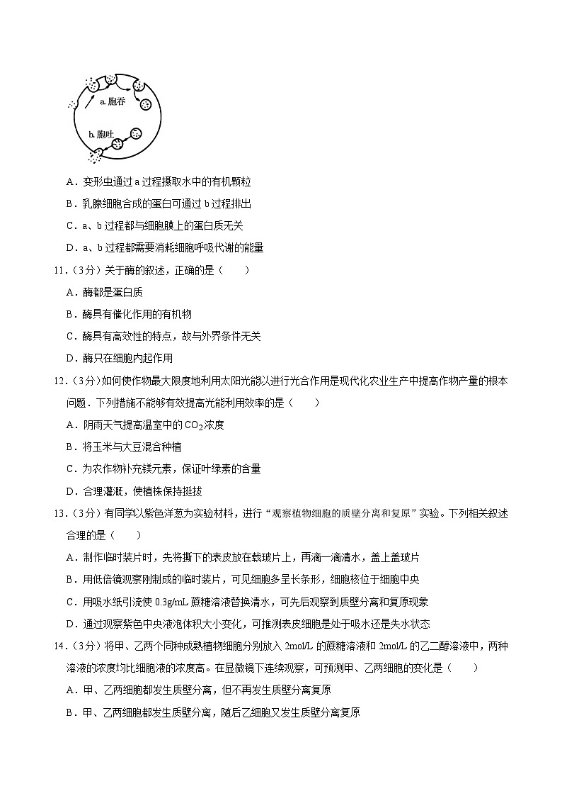 贵州省贵阳市乌当四中2024-2025学年高三上学期9月月考生物试卷第3页