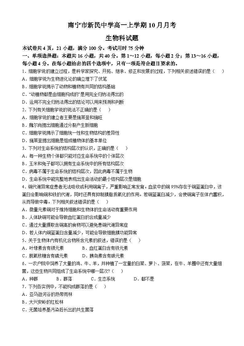 广西壮族自治区南宁市新民中学2024-2025学年高一上学期10月月考生物试题(无答案)第1页