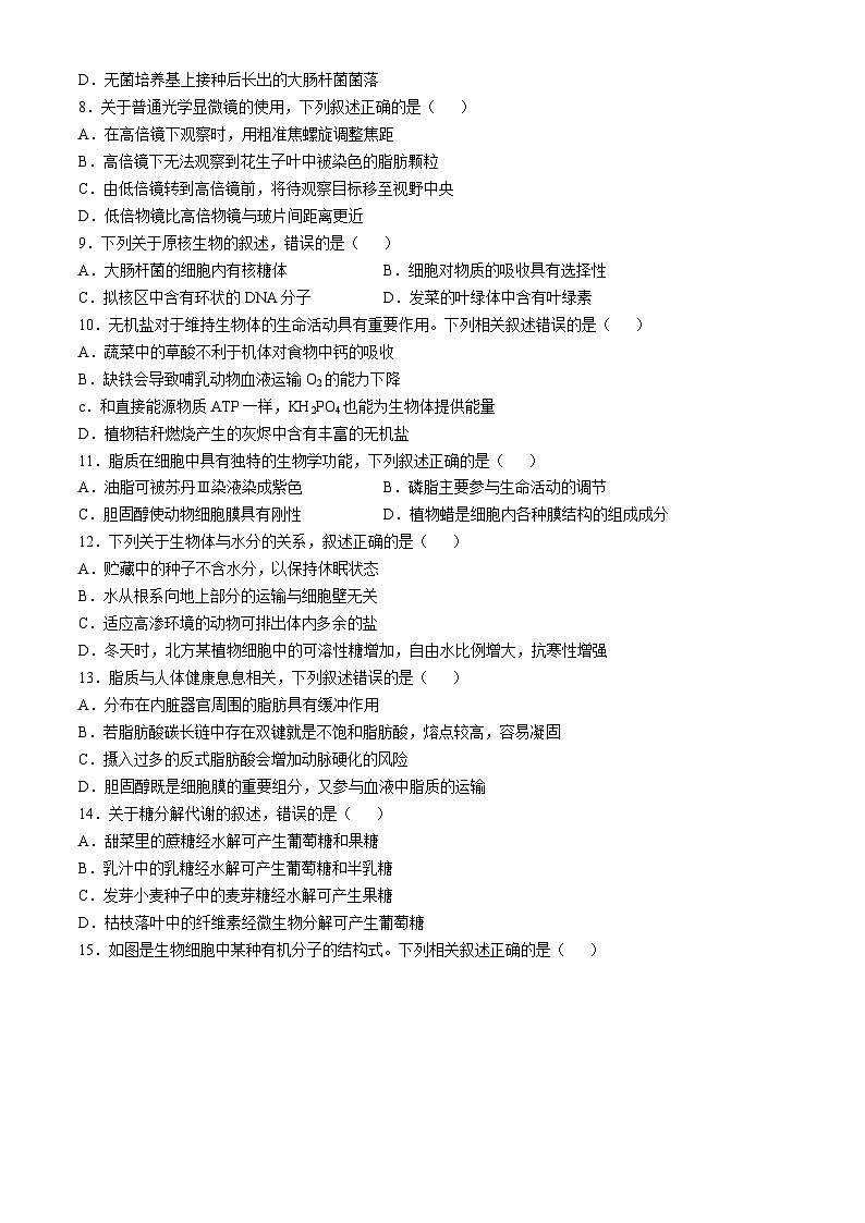 广西壮族自治区南宁市新民中学2024-2025学年高一上学期10月月考生物试题(无答案)第2页
