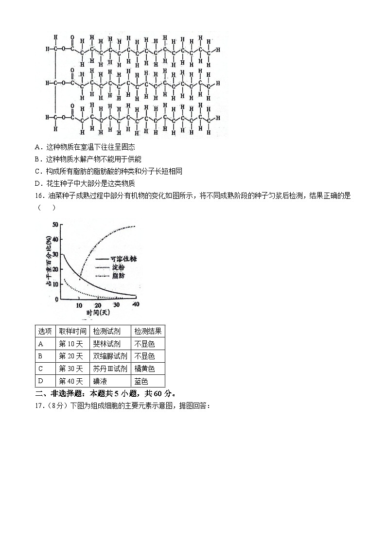 广西壮族自治区南宁市新民中学2024-2025学年高一上学期10月月考生物试题(无答案)第3页