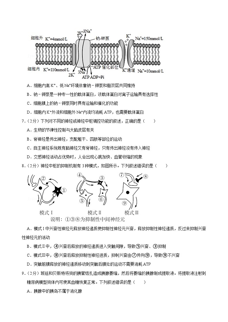 湖北省部分省级示范高中2023-2024学年高二上学期期中考试生物试题第3页