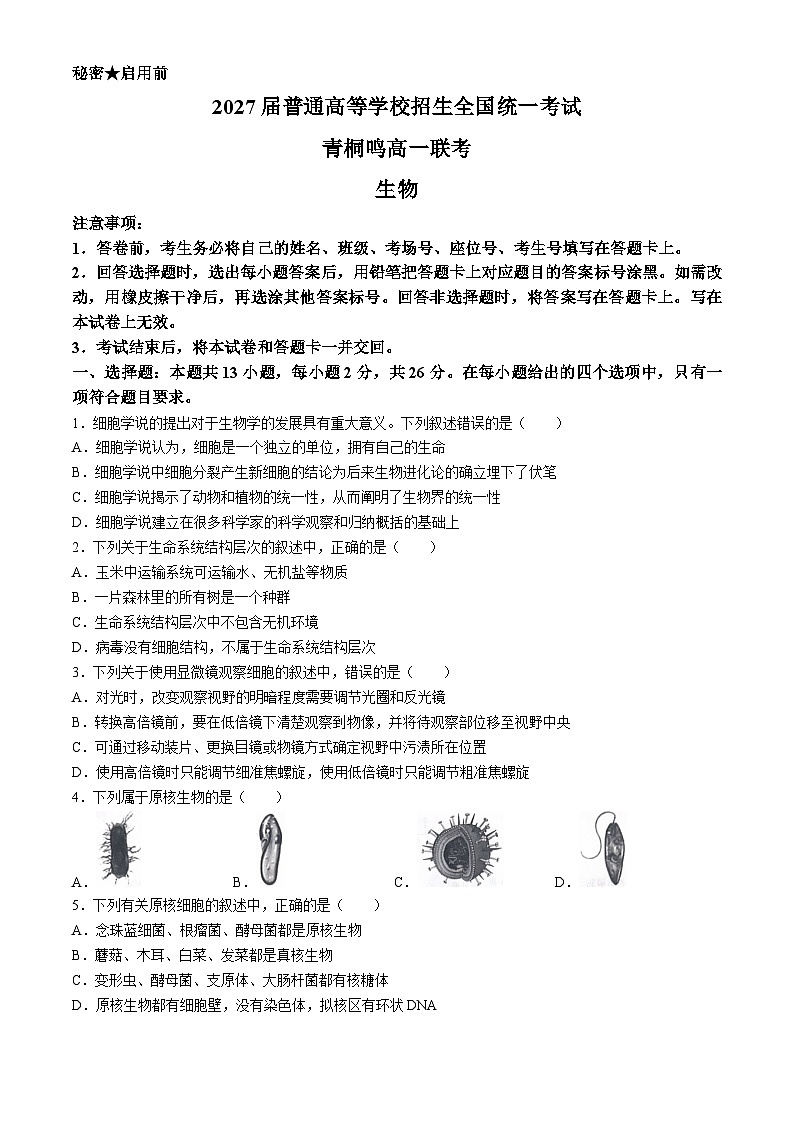河南省驻马店市青桐鸣2024-2025学年高一上学期10月月考生物试题 (无答案)第1页