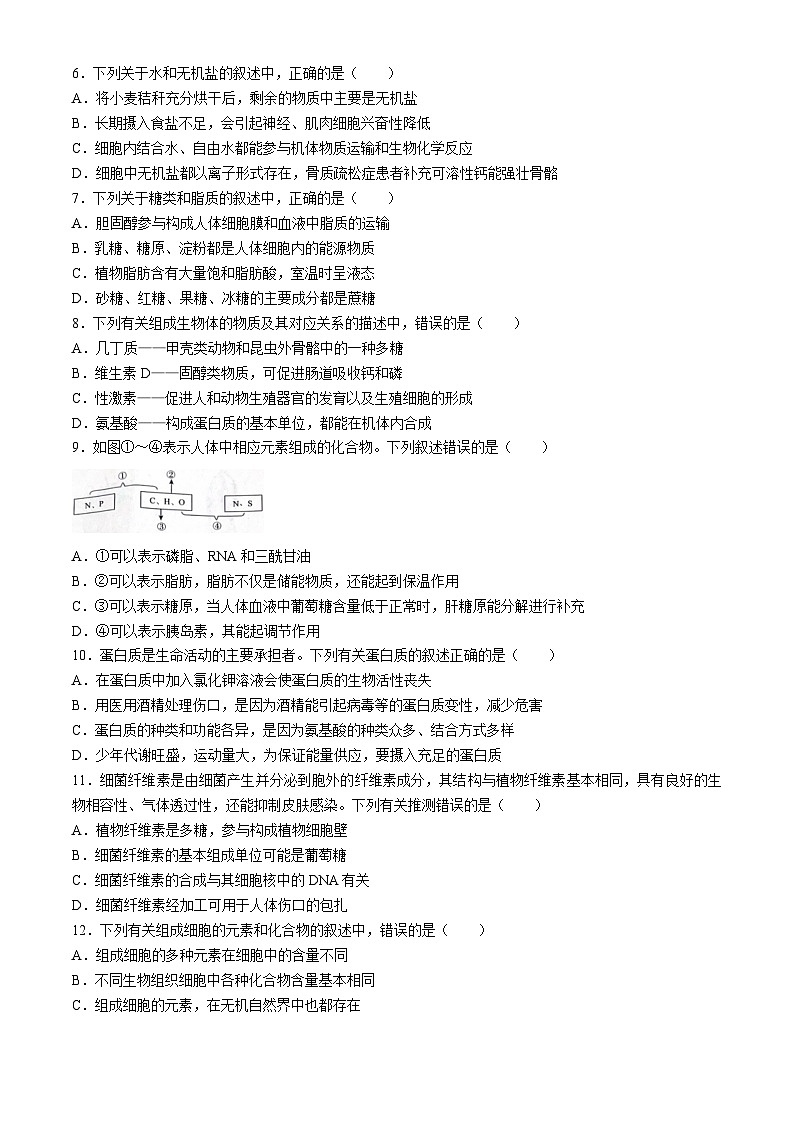 河南省驻马店市青桐鸣2024-2025学年高一上学期10月月考生物试题 (无答案)第2页