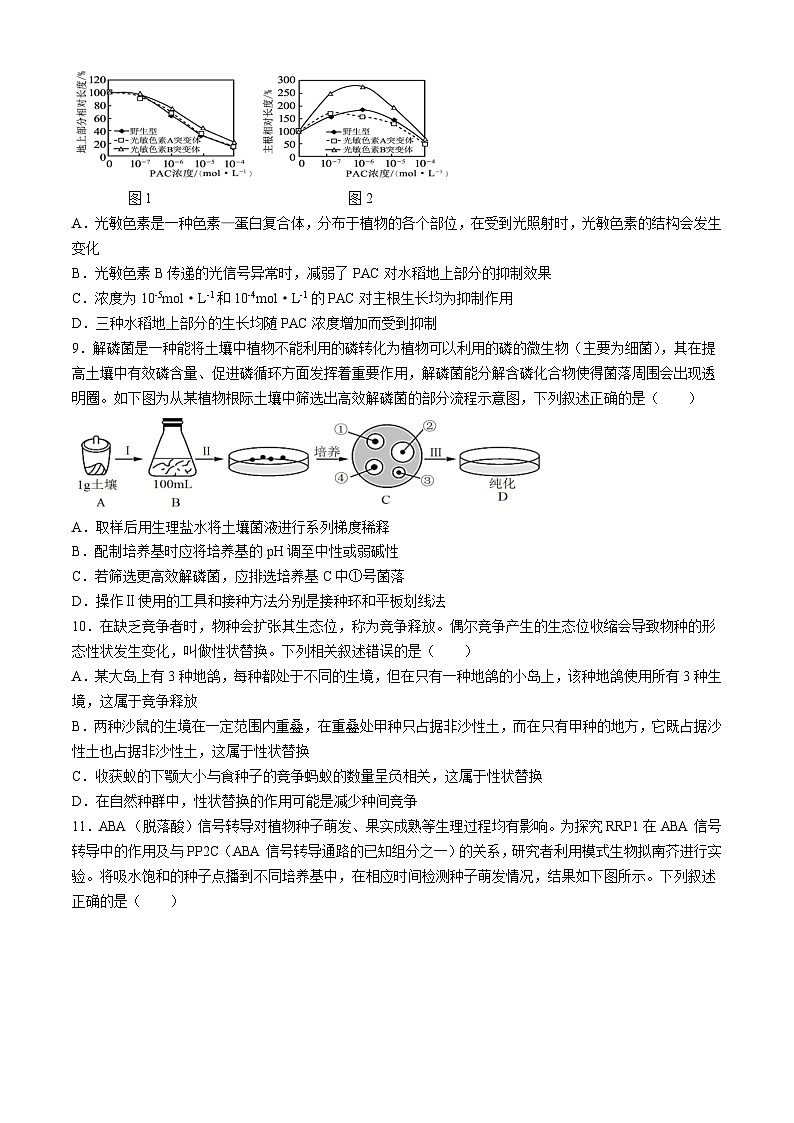 江西省樟树中学2024-2025学年高三上学期第一次月考生物试题第3页