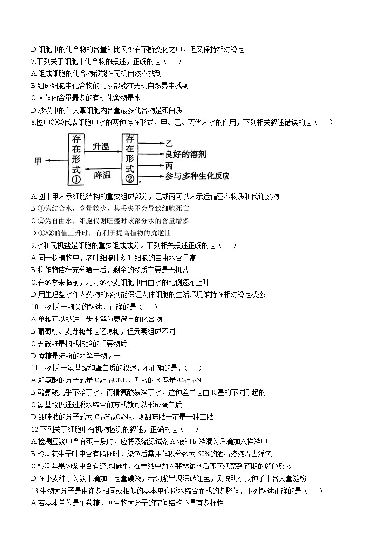 陕西省韩城市象山中学2024-2025学年高一上学期第一次月考生物试题(无答案)第2页