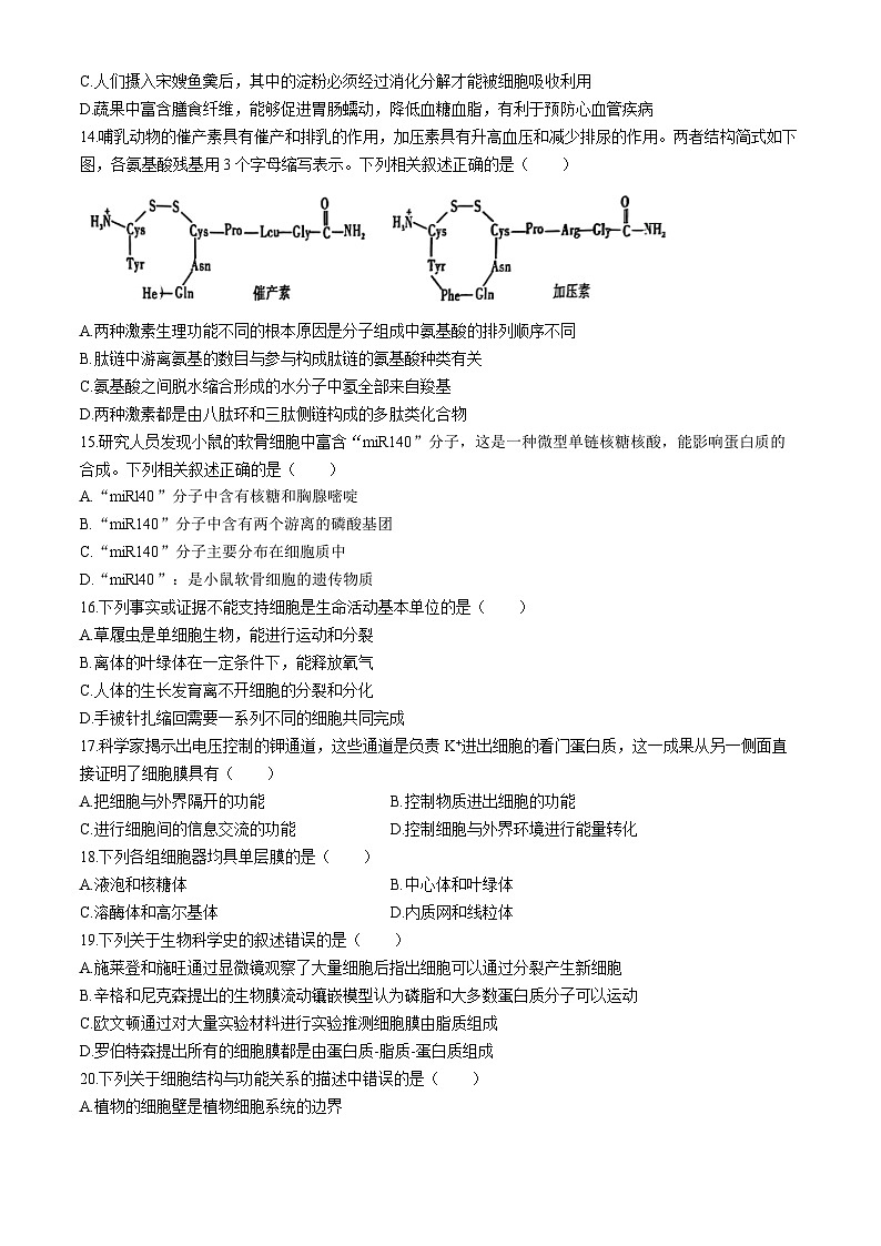 江苏省连云港市江苏省赣榆高级中学2024-2025学年高一上学期10月月考生物试题(无答案)第3页
