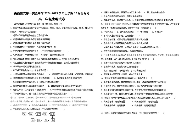 江西省南昌雷式厚一实验中学2024-2025学年高一上学期10月月考生物试题01