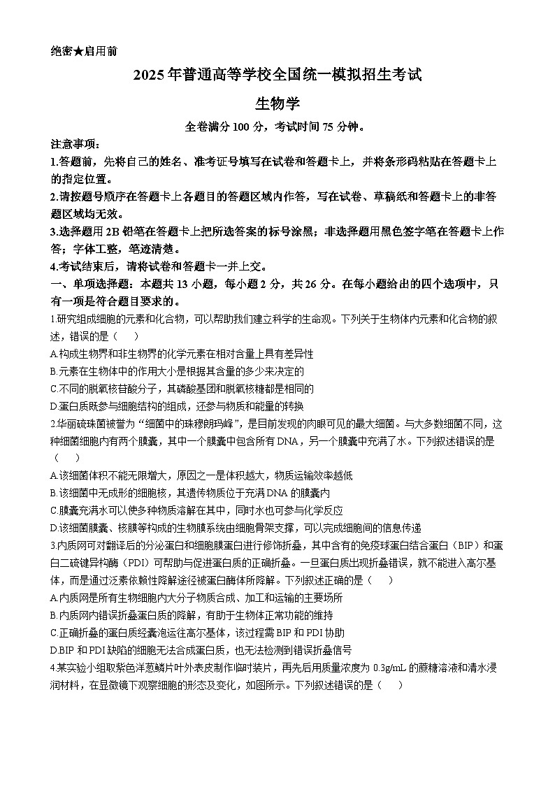河南省开封市尉氏县联考2024-2025学年高三上学期10月月考生物试题第1页