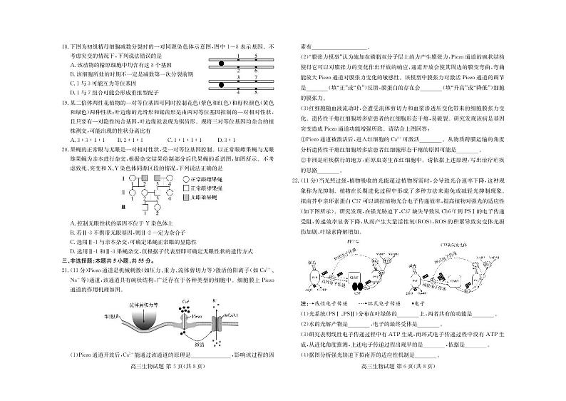 山东省新高考联合质量测评2024-2025学年高三上学期10月联考生物试题(PDF版附答案)03