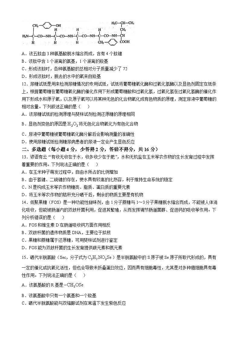 江西省赣州市章贡区赣州中学2024-2025学年高一上学期第一次月考生物试题(无答案)03