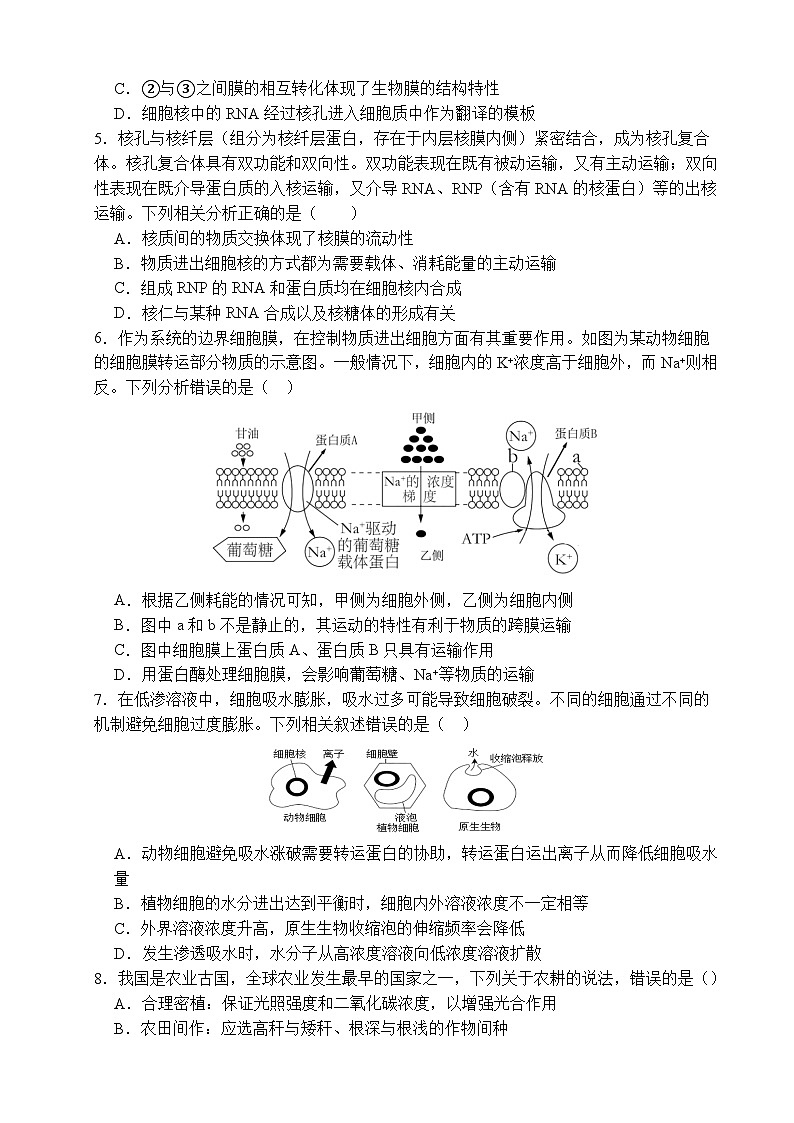 江西省南昌市东湖区南昌市第十九中学2024-2025学年高三上学期10月月考生物试题02