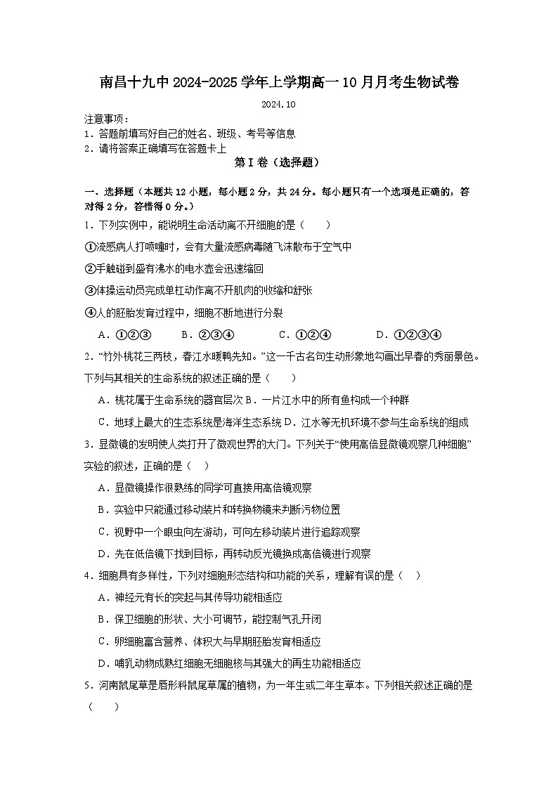 南昌十九中2024-2025学年上学期高一10月月考生物试卷第1页