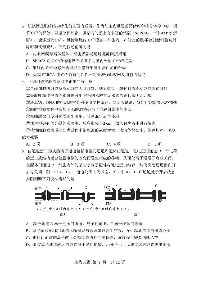 山东省实验中学2024—2025学年高三上学期第一次诊断生物试题02