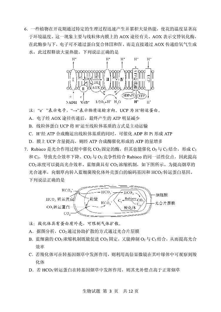 山东省实验中学2024—2025学年高三上学期第一次诊断生物试题03
