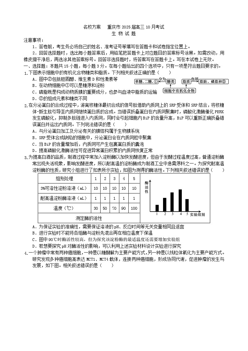 重庆市“名校方案联盟”2024-2025学年高三上学期10月大联考生物试题01