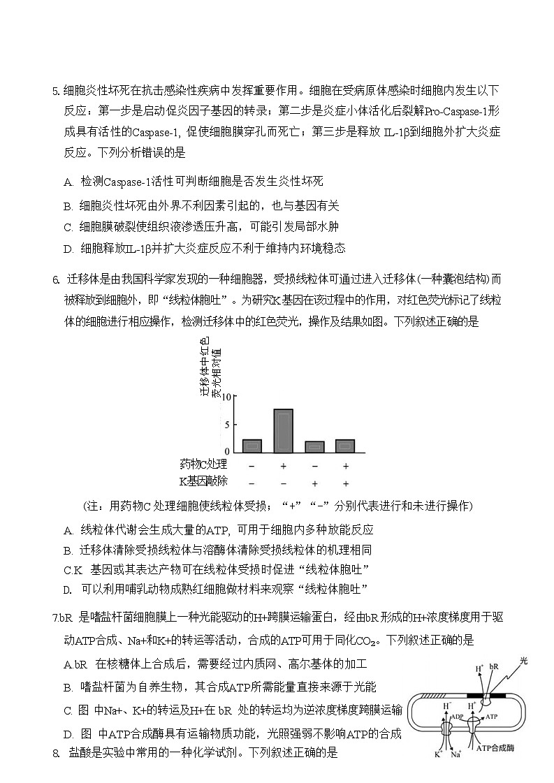 2024年湖北云學部分重點高中聯(lián)盟高三年級10月聯(lián)考試卷試卷試卷+生物第3頁