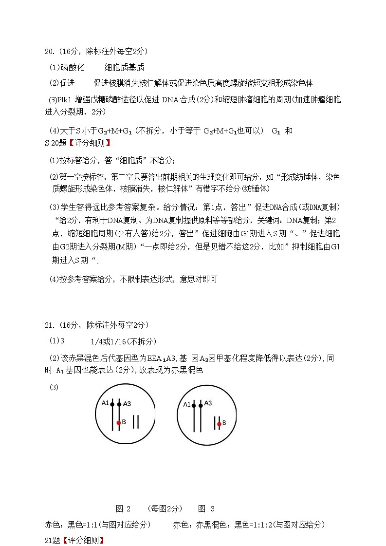 2024年湖北云學部分重點高中聯(lián)盟高三年級10月聯(lián)考試卷試卷試卷+生物答案第3頁