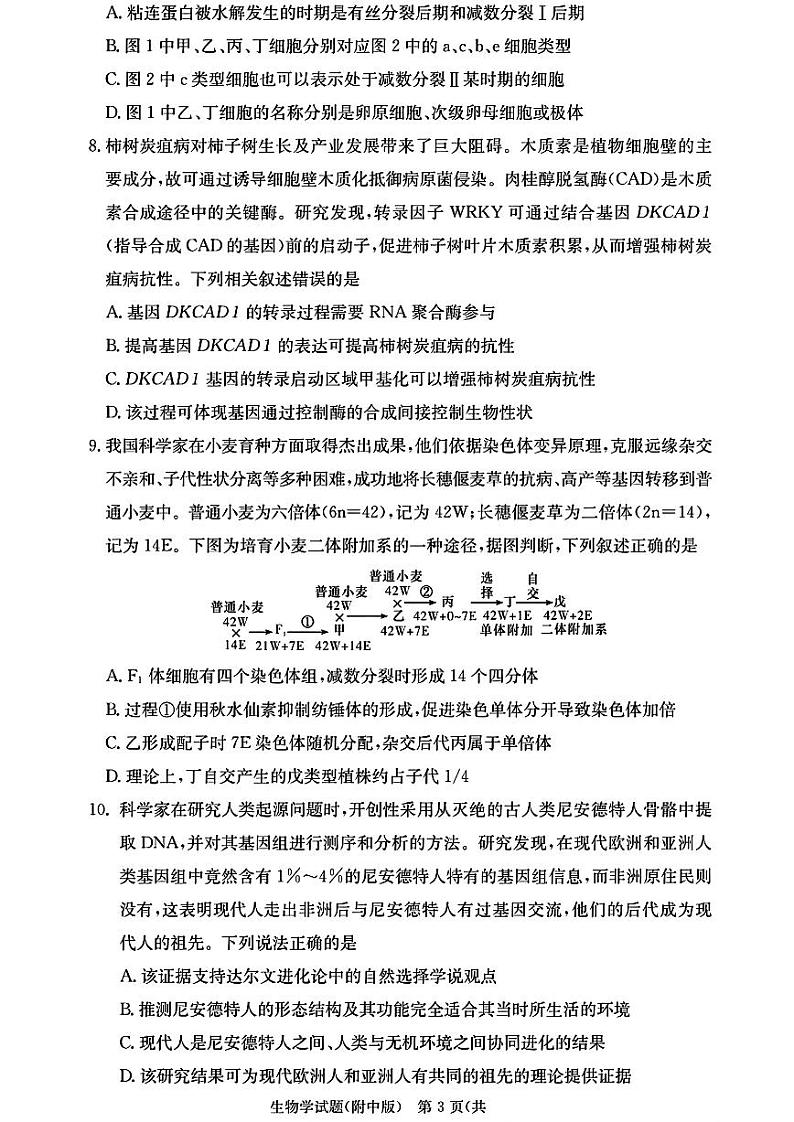 湖南师大附校2025届高三月考试卷(二)+生物第3页