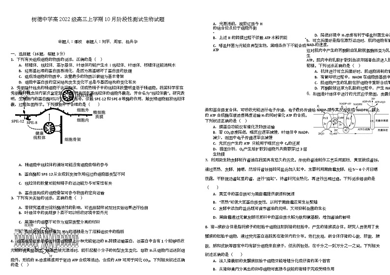四川省成都市树德中学2025届高三上学期10月月考生物试题 第1页