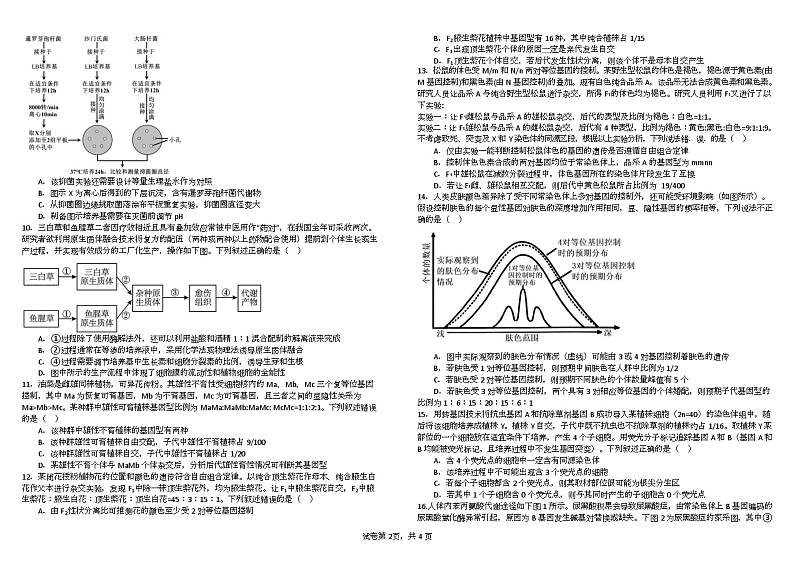 四川省成都市树德中学2025届高三上学期10月月考生物试题 第3页
