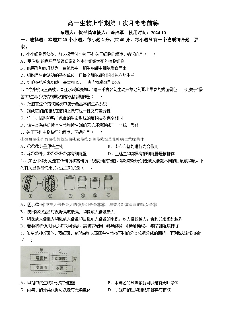 河北省廊坊市文安县第一中学2024-2025学年高一上学期开学生物试题(无答案)