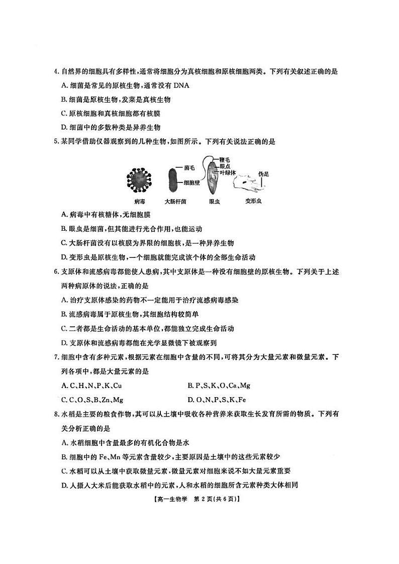 陕西省西安市黄河中学2024_2025学年高一上学期第一次月考生物试题02