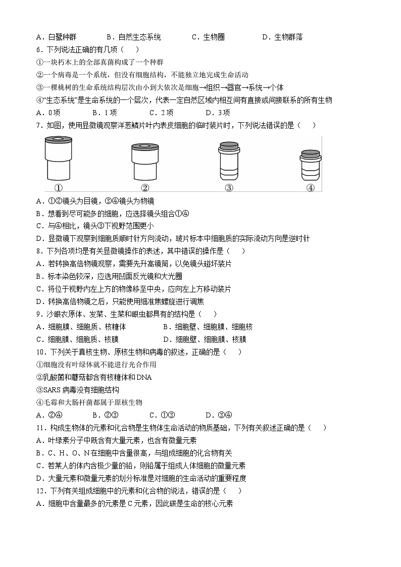 云南省大理白族自治州下关一中教育基团2024-2025学年高一上学期10月月考生物试题第2页